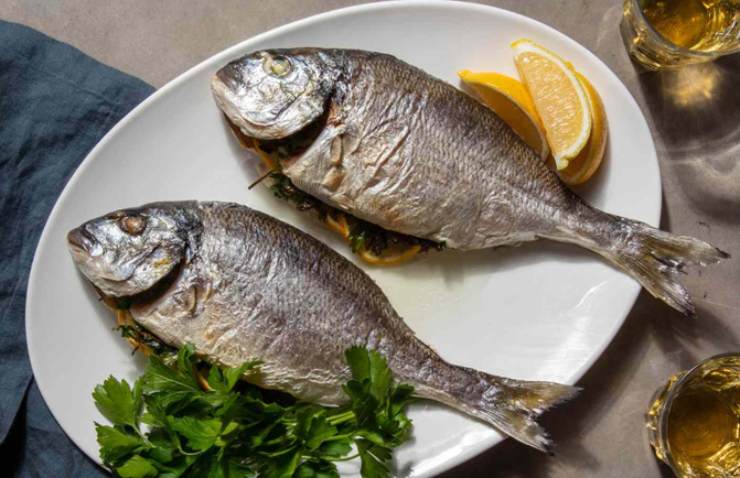 Fish